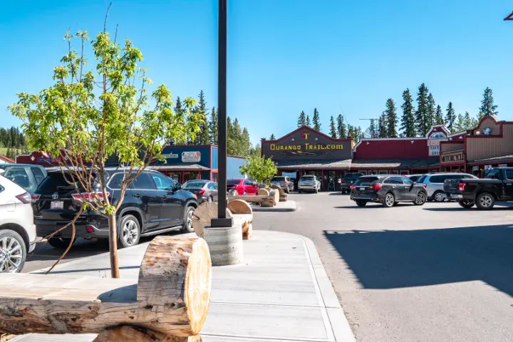 Homes in Bragg Creek